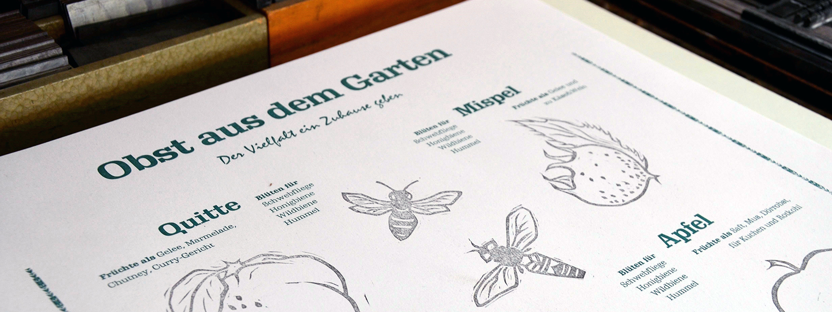 Artenvielfalt-header