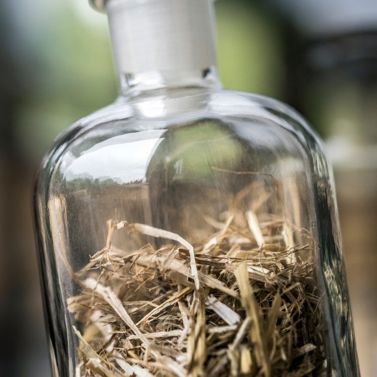 Bio Cycle Wheat