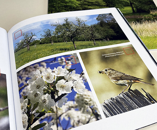 Broschüre - Sielmanns Biotopverbund Ravensburg – Innenansicht