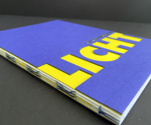 Buch "aus dem schatten ins Licht"