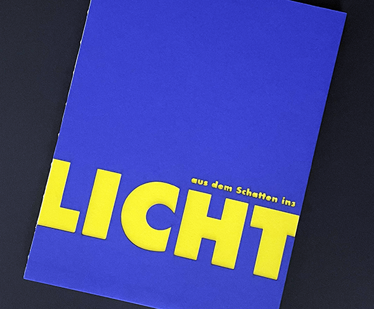 Buch "aus dem schatten ins Licht"