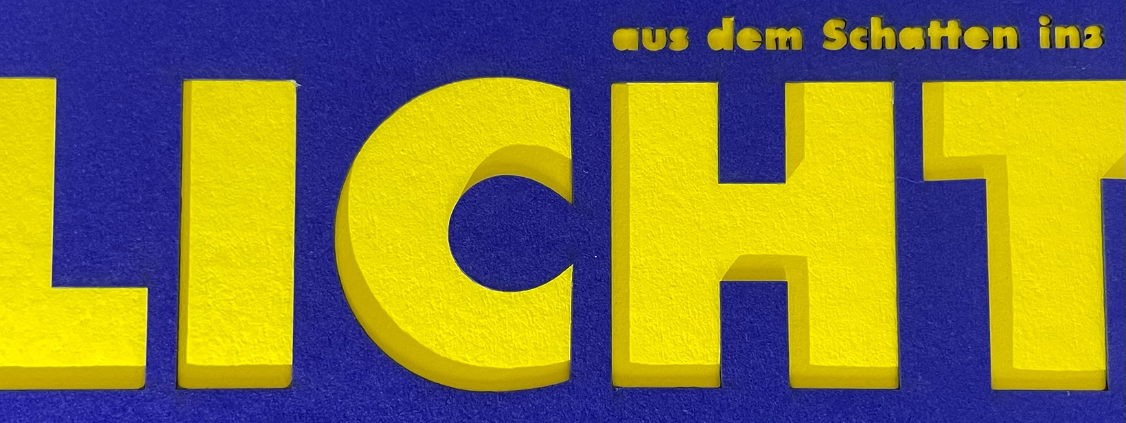 Buch "aus dem schatten ins Licht"