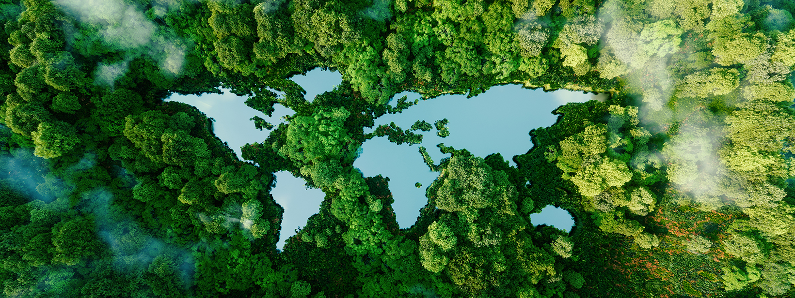 FSC-Blogpost-header