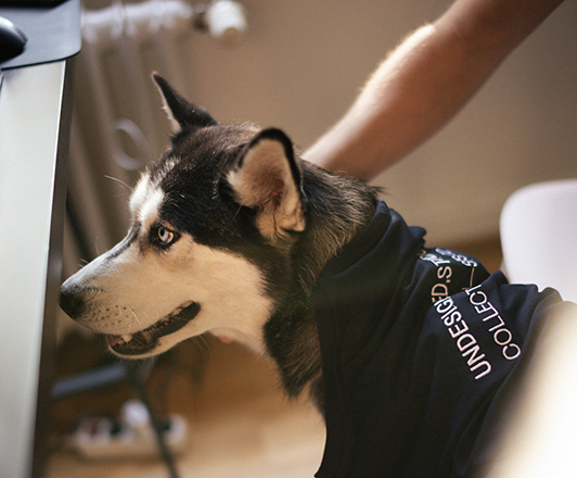 Auch an ....wurd bei der neuen Visual Identity gedacht