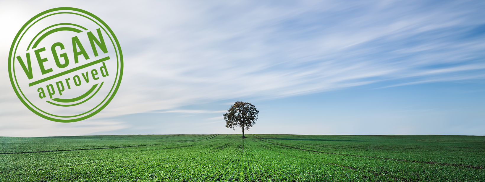 Titelbild Vegane Papiere